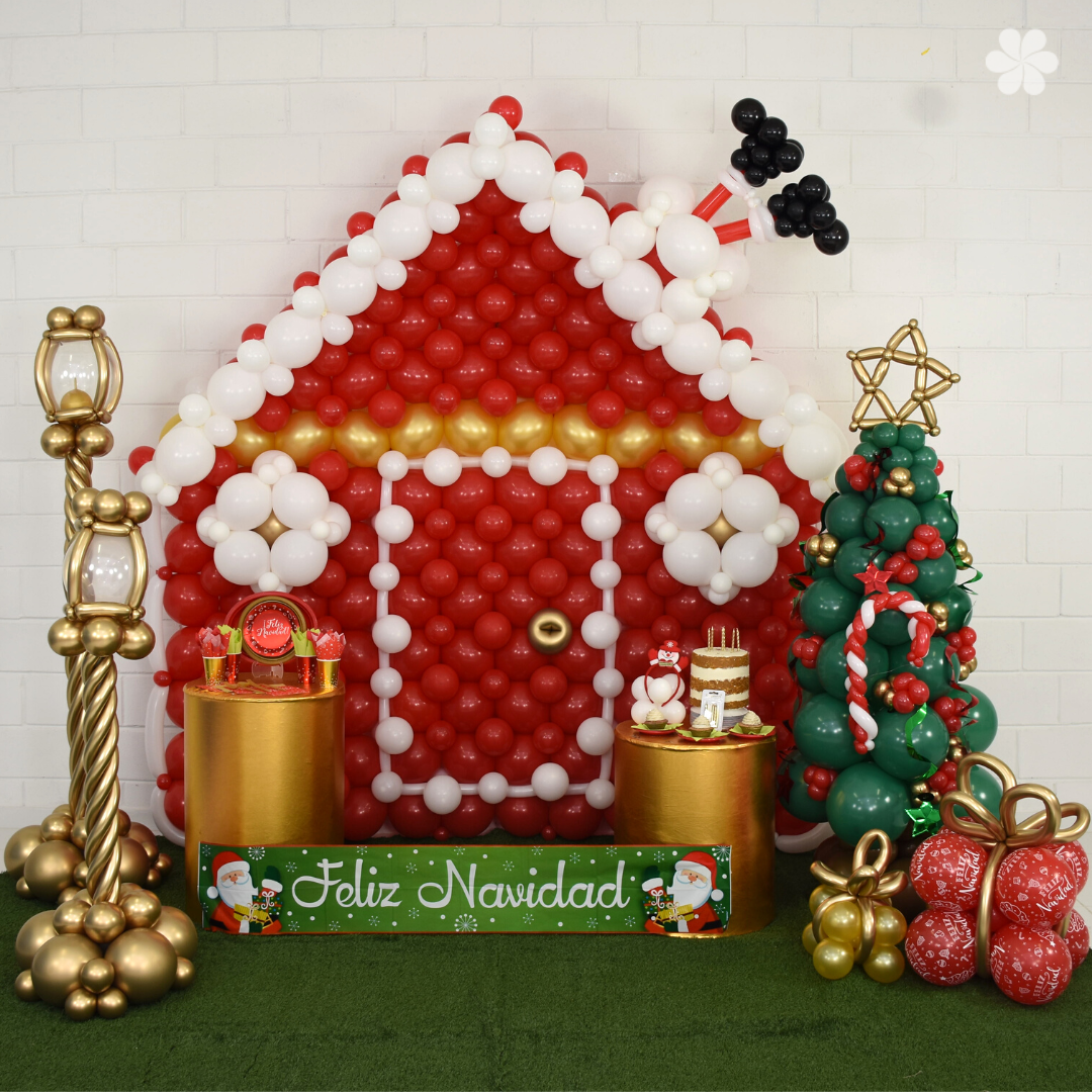 Christmas House Decoration