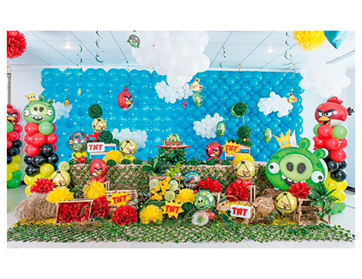 ANGRY BIRDS COLORFUL
