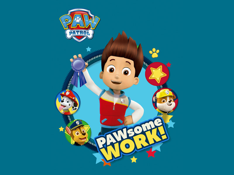 Paw Patrol Activity Kit to do at home