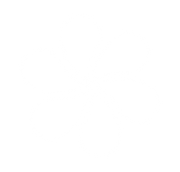 Ícono Decorativo